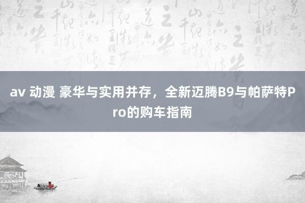 av 动漫 豪华与实用并存，全新迈腾B9与帕萨特Pro的购车指南