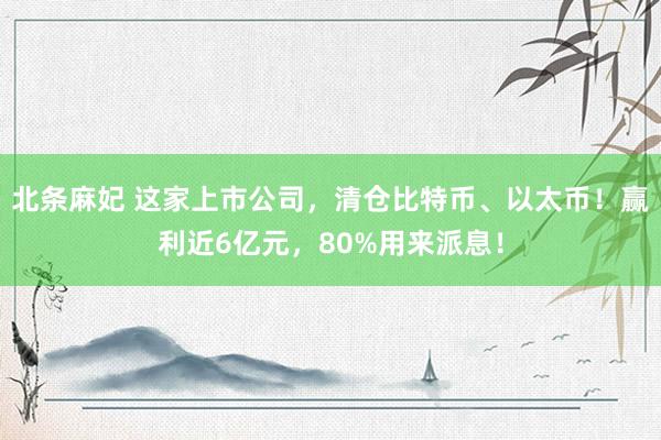 北条麻妃 这家上市公司，清仓比特币、以太币！赢利近6亿元，80%用来派息！