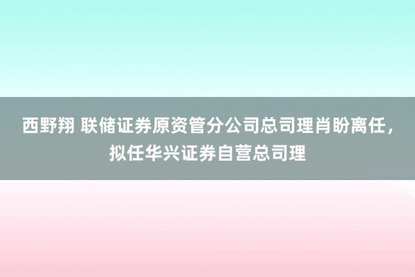 西野翔 联储证券原资管分公司总司理肖盼离任，拟任华兴证券自营总司理