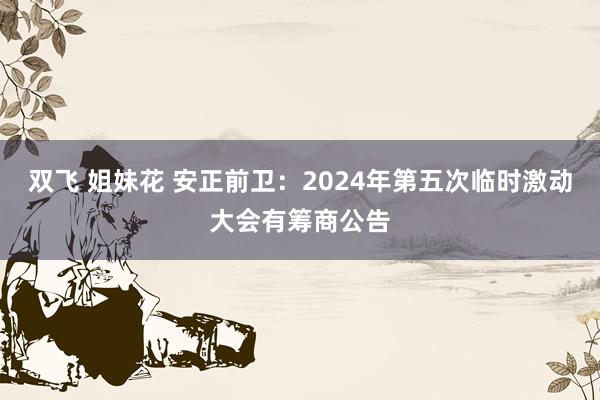 双飞 姐妹花 安正前卫：2024年第五次临时激动大会有筹商公告