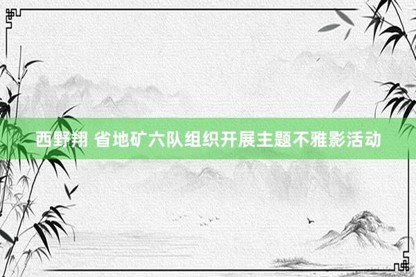 西野翔 省地矿六队组织开展主题不雅影活动