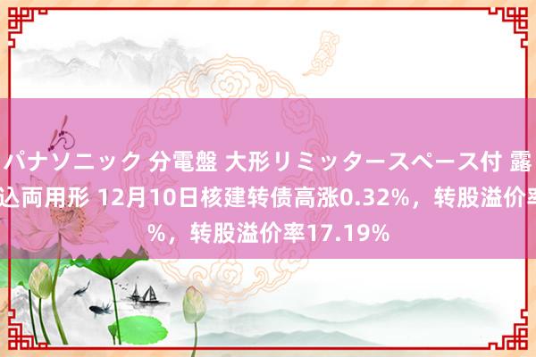 パナソニック 分電盤 大形リミッタースペース付 露出・半埋込両用形 12月10日核建转债高涨0.32%，转股溢价率17.19%