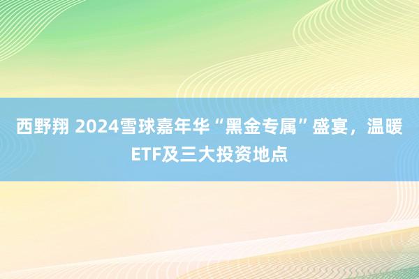 西野翔 2024雪球嘉年华“黑金专属”盛宴，温暖ETF及三大投资地点