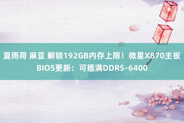 夏雨荷 麻豆 解锁192GB内存上限！微星X870主板BIOS更新：可插满DDR5-6400