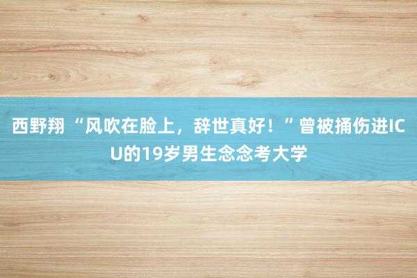 西野翔 “风吹在脸上，辞世真好！”曾被捅伤进ICU的19岁男生念念考大学