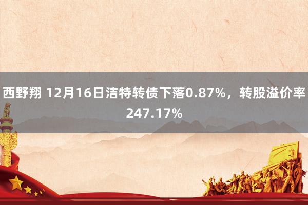 西野翔 12月16日洁特转债下落0.87%，转股溢价率247.17%