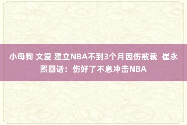 小母狗 文爱 建立NBA不到3个月因伤被裁  崔永熙回话：伤好了不息冲击NBA