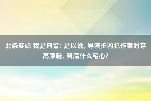 北条麻妃 我是刑警: 是以说， 导演拍凶犯作案时穿高跟鞋， 到底什么宅心?