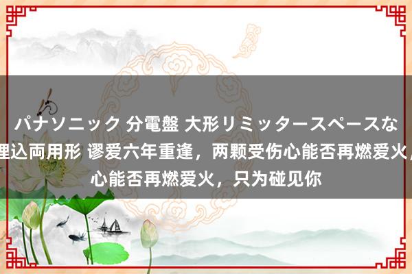 パナソニック 分電盤 大形リミッタースペースなし 露出・半埋込両用形 谬爱六年重逢，两颗受伤心能否再燃爱火，只为碰见你