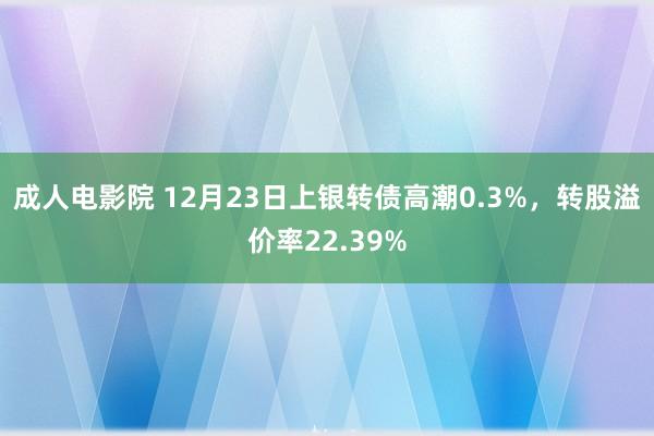 成人电影院 12月23日上银转债高潮0.3%，转股溢价率22.39%