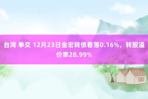 台灣 拳交 12月23日金宏转债着落0.16%，转股溢价率28.99%