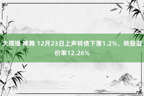 大摆锤 裸舞 12月23日上声转债下落1.2%，转股溢价率12.26%