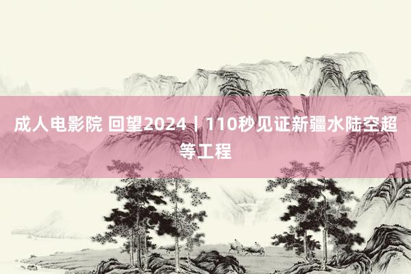 成人电影院 回望2024丨110秒见证新疆水陆空超等工程