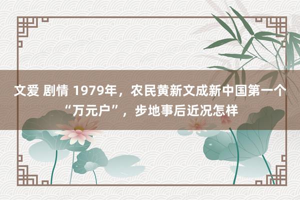 文爱 剧情 1979年，农民黄新文成新中国第一个“万元户”，步地事后近况怎样