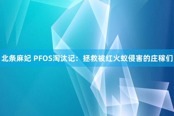 北条麻妃 PFOS淘汰记：拯救被红火蚁侵害的庄稼们