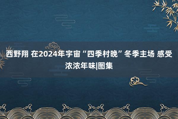 西野翔 在2024年宇宙“四季村晚”冬季主场 感受浓浓年味|图集