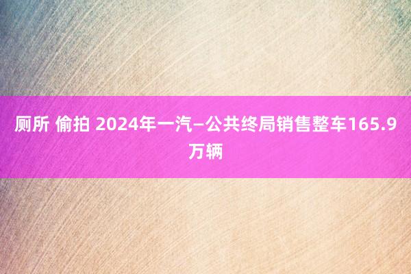 厕所 偷拍 2024年一汽—公共终局销售整车165.9万辆