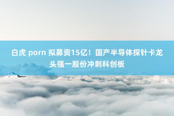 白虎 porn 拟募资15亿！国产半导体探针卡龙头强一股份冲刺科创板