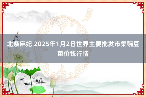 北条麻妃 2025年1月2日世界主要批发市集豌豆苗价钱行情