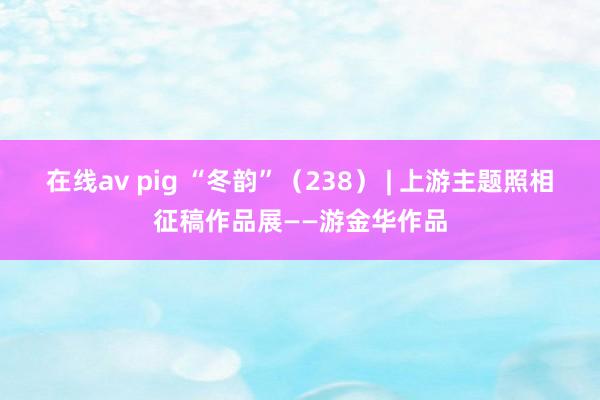 在线av pig “冬韵”（238） | 上游主题照相征稿作品展——游金华作品