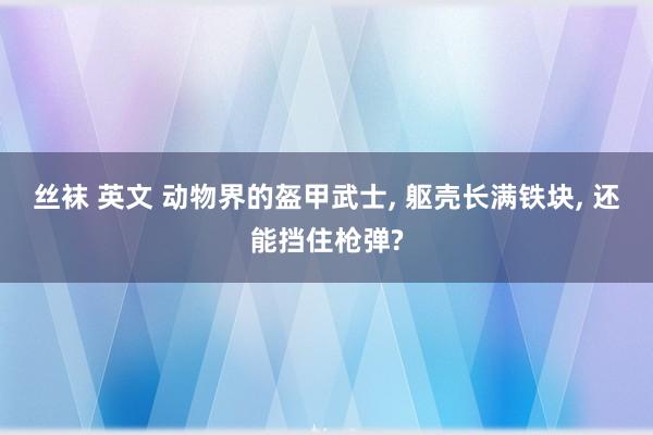 丝袜 英文 动物界的盔甲武士， 躯壳长满铁块， 还能挡住枪弹?