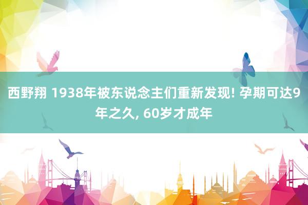 西野翔 1938年被东说念主们重新发现! 孕期可达9年之久， 60岁才成年