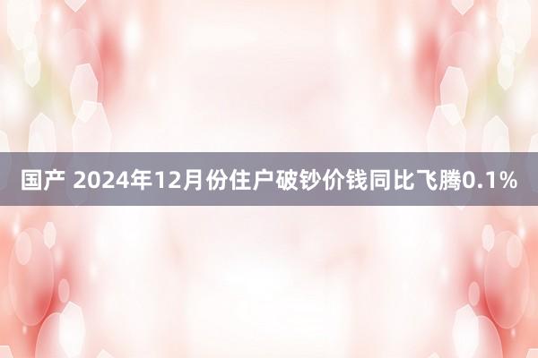 国产 2024年12月份住户破钞价钱同比飞腾0.1%