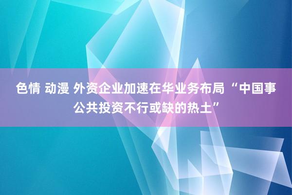 色情 动漫 外资企业加速在华业务布局 “中国事公共投资不行或缺的热土”