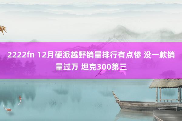 2222fn 12月硬派越野销量排行有点惨 没一款销量过万 坦克300第三