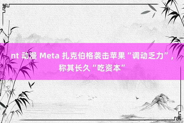 nt 动漫 Meta 扎克伯格袭击苹果“调动乏力”，称其长久“吃资本”