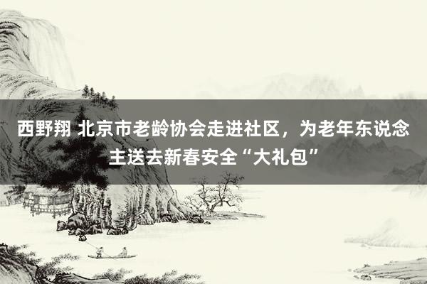 西野翔 北京市老龄协会走进社区，为老年东说念主送去新春安全“大礼包”