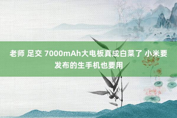 老师 足交 7000mAh大电板真成白菜了 小米要发布的生手机也要用