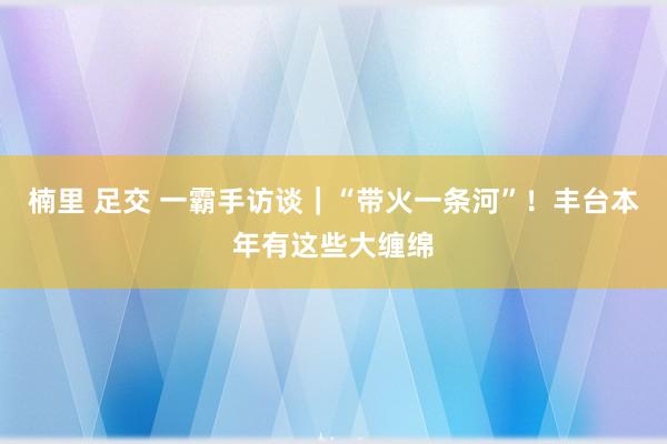 楠里 足交 一霸手访谈｜“带火一条河”！丰台本年有这些大缠绵