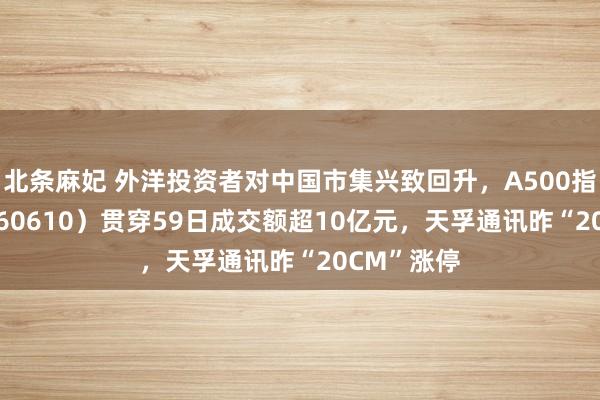 北条麻妃 外洋投资者对中国市集兴致回升，A500指数ETF（560610）贯穿59日成交额超10亿元，天孚通讯昨“20CM”涨停